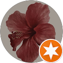Ivet Yaneva profile picture